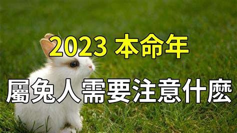 2023 入伙 屬兔 佩戴